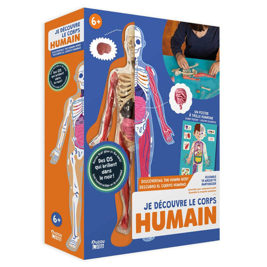 Aktivitetsæsken "På opdagelse i kroppen" fra Auzou
