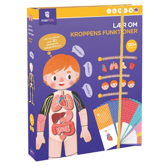 Magnetisk legesæt - Lær om kroppens funktioner fra mierEdu