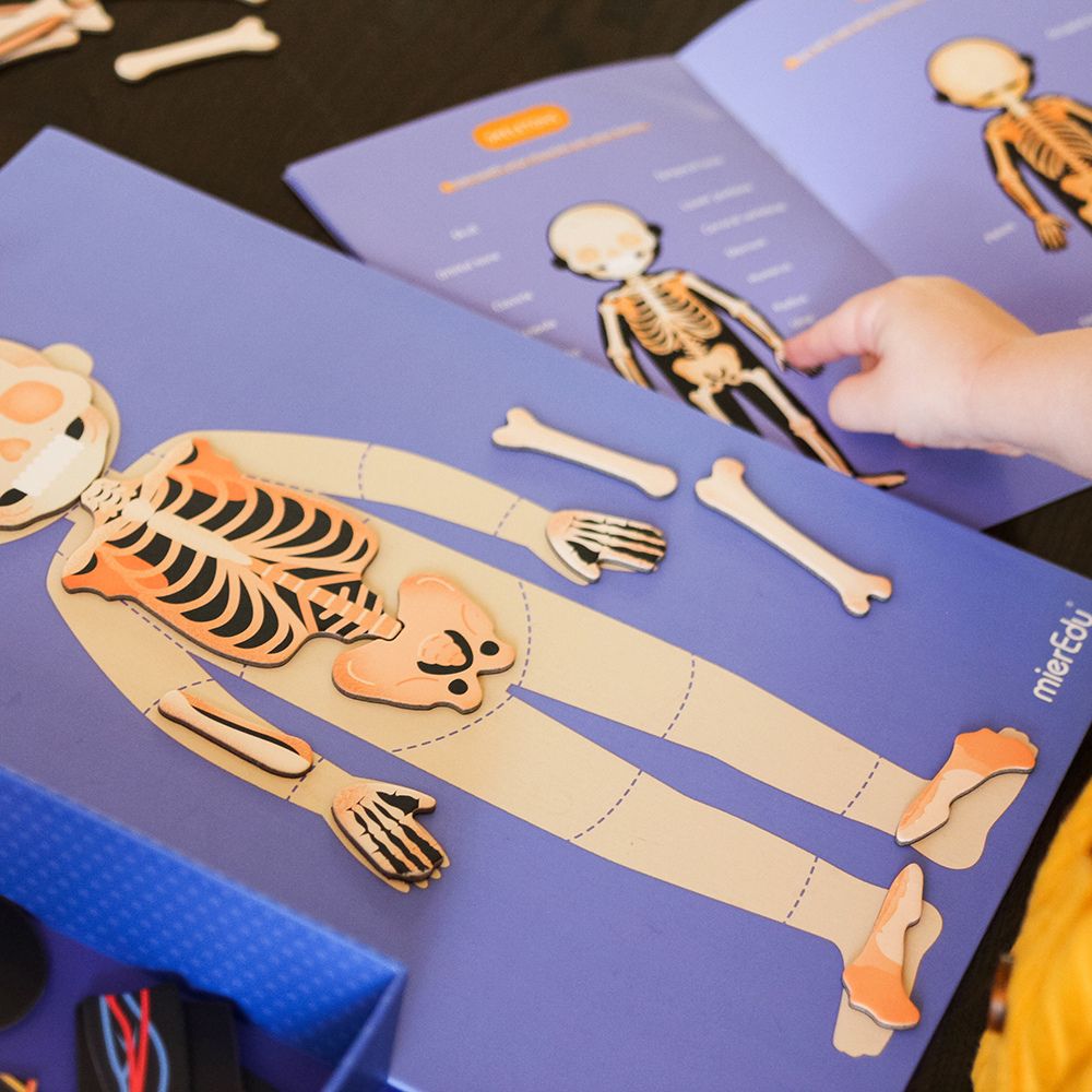 Magnetisk legesæt - Lær om kroppens funktioner fra mierEdu