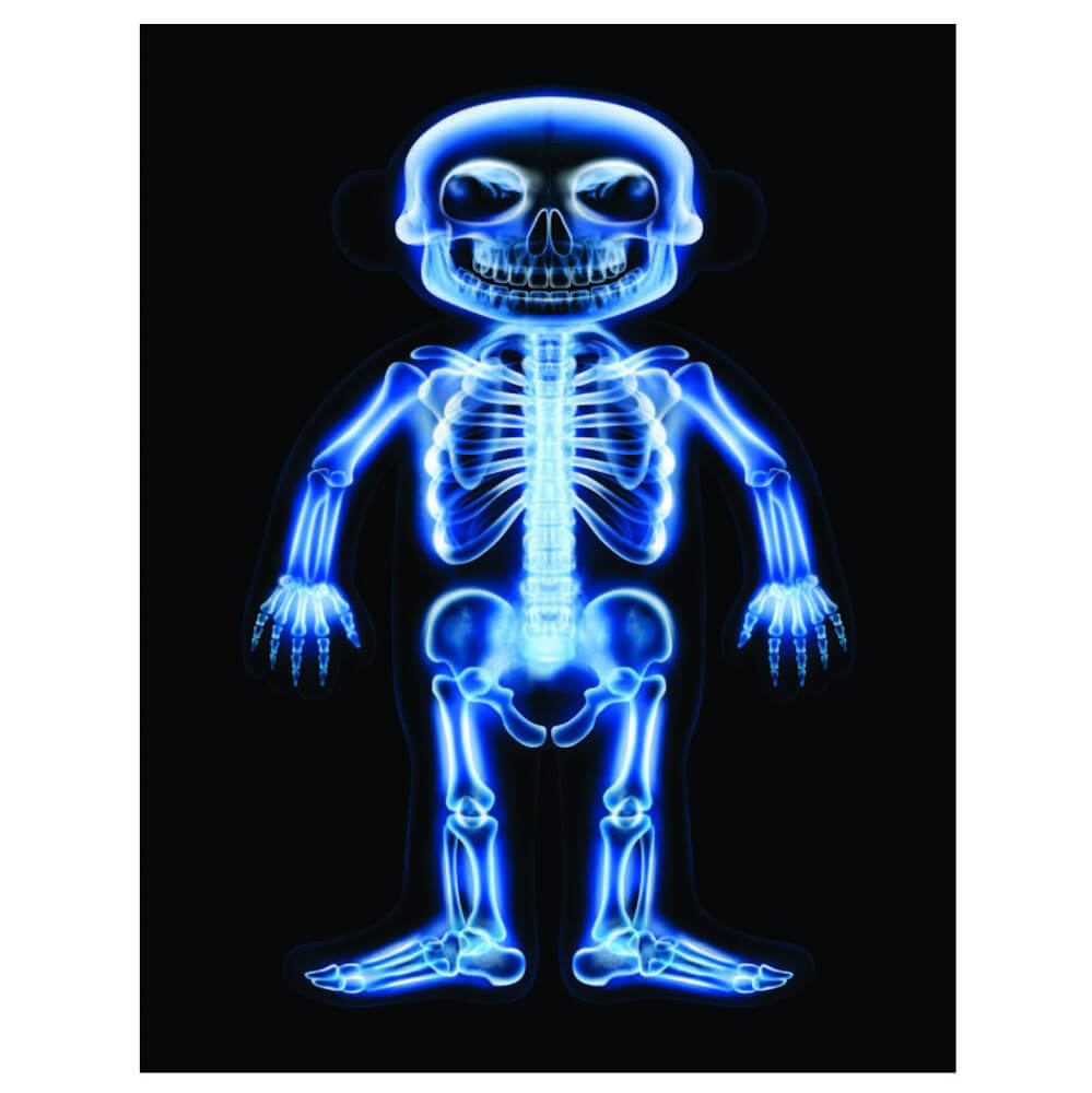 Bamse røntgenbilleder fra Roylco