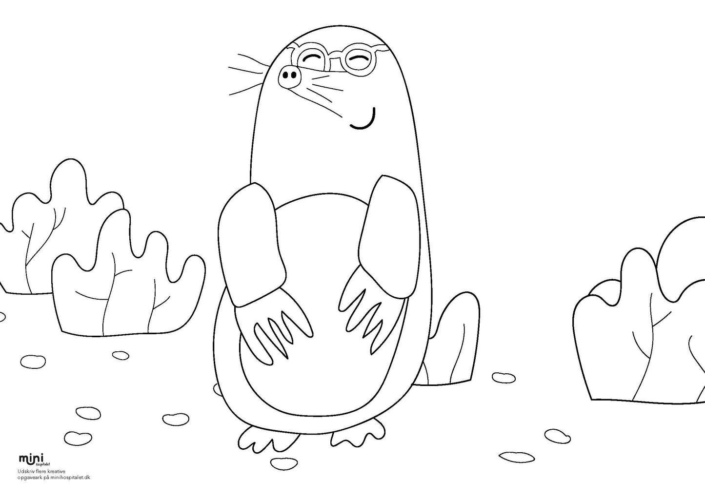 Udskriv & farvelæg - Mulvarp