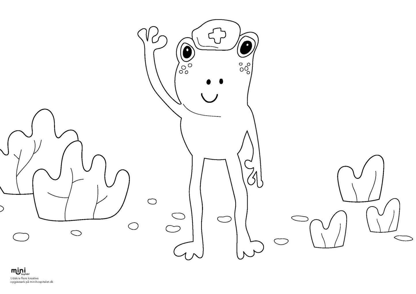 Udskriv & farvelæg - Frø
