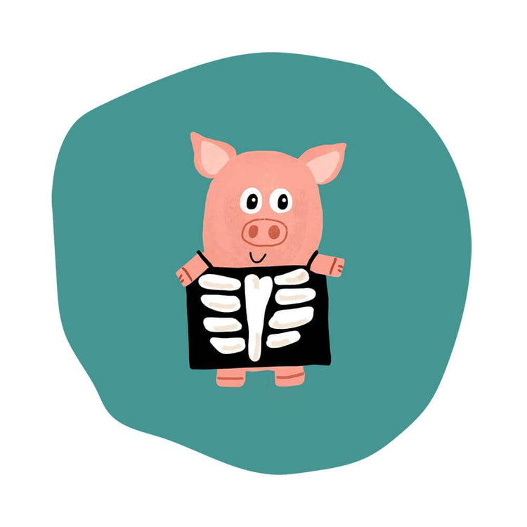 Kroppens Anatomi fra Minihospitalet