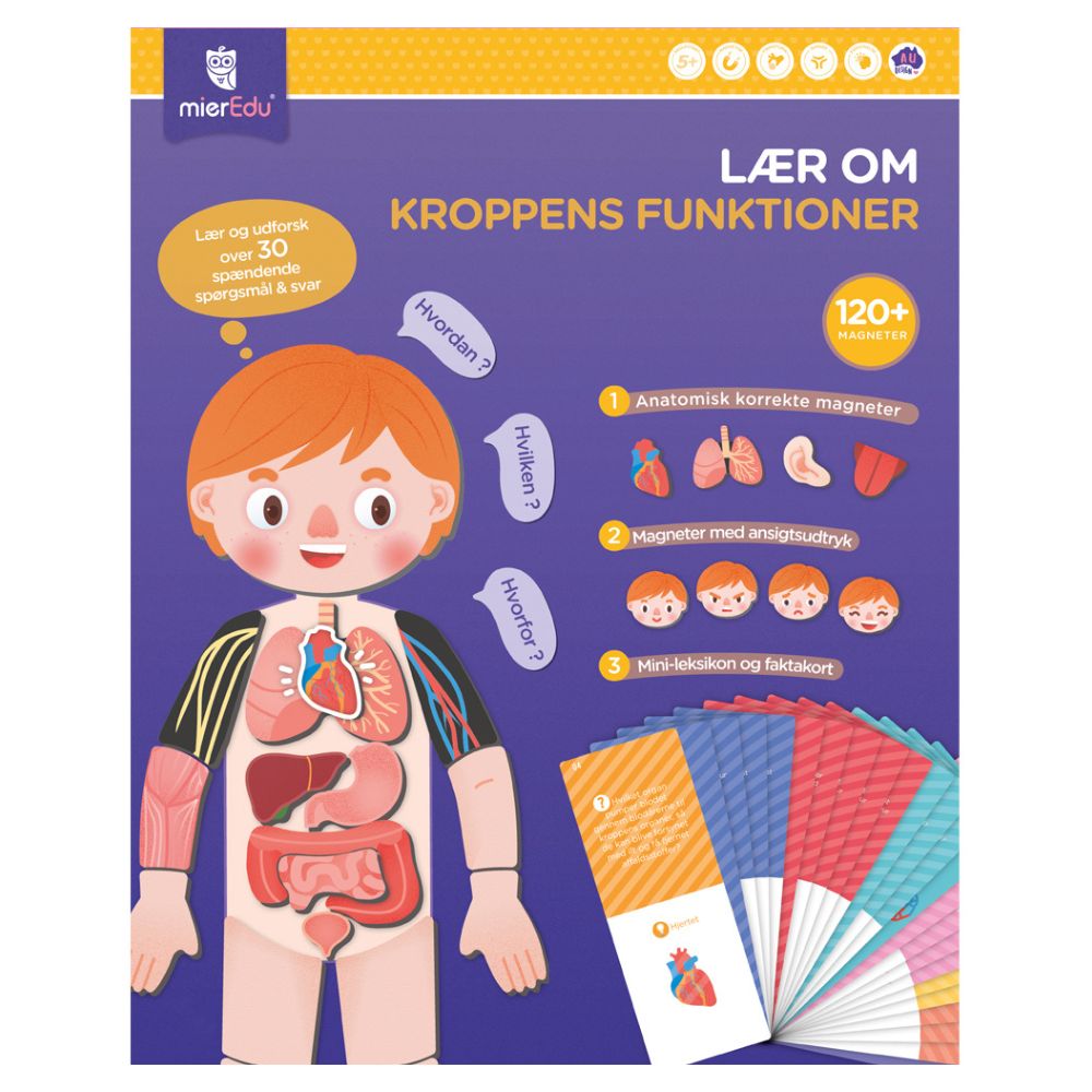 Magnetisk legesæt - Lær om kroppens funktioner fra mierEdu