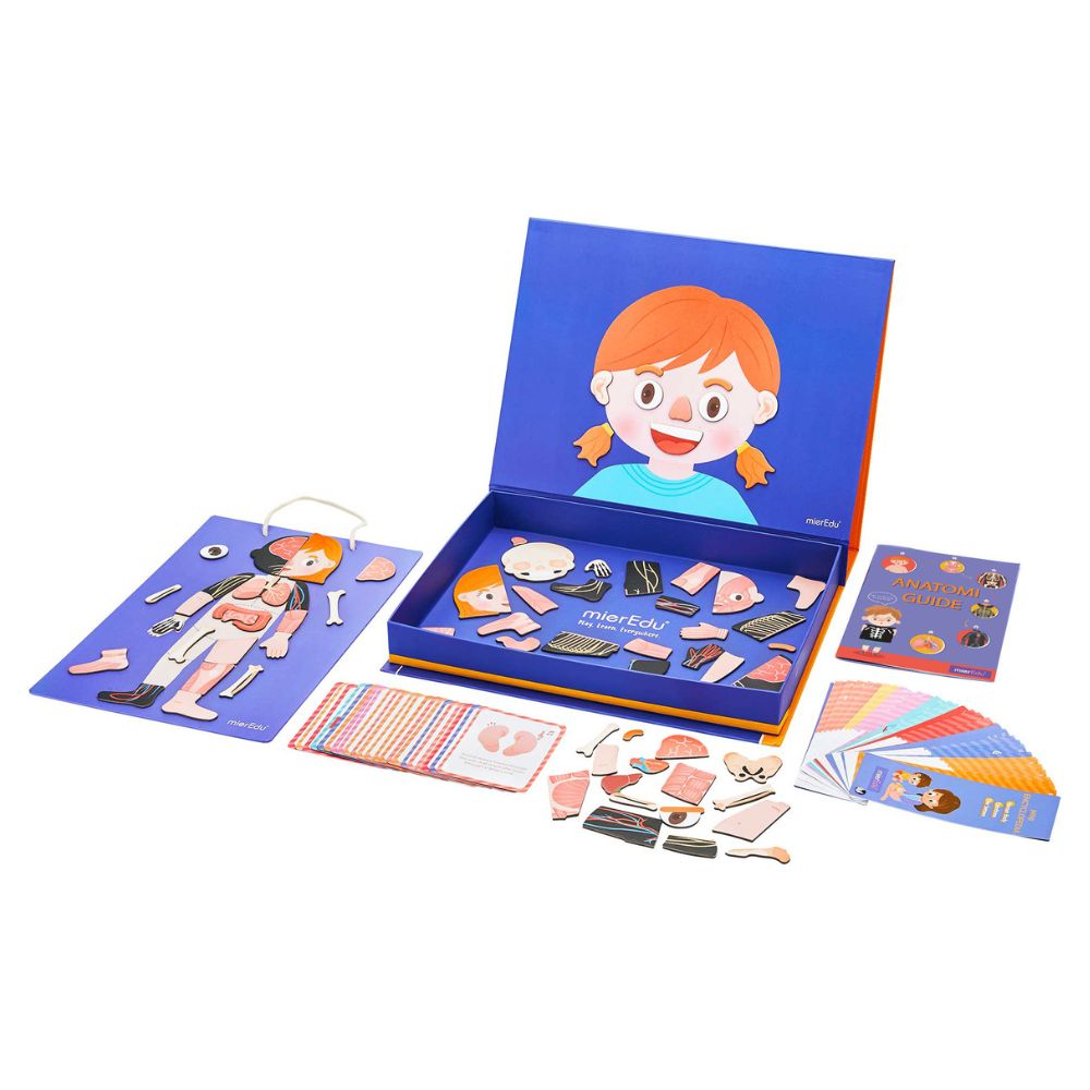 Magnetisk legesæt - Lær om kroppens funktioner fra mierEdu
