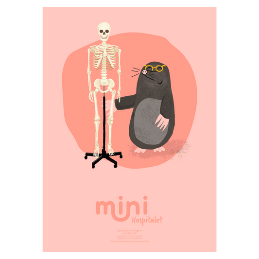 Plakat - Mulvarp med skelet