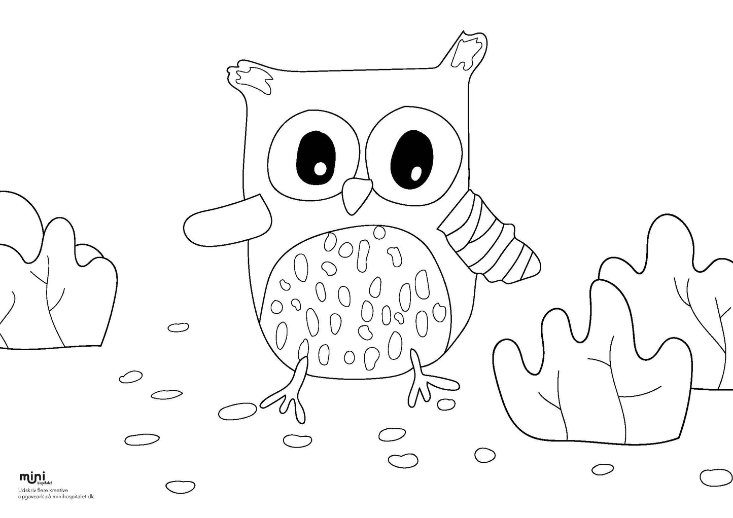 Udskriv & farvelæg - Ugle med brækket vinge