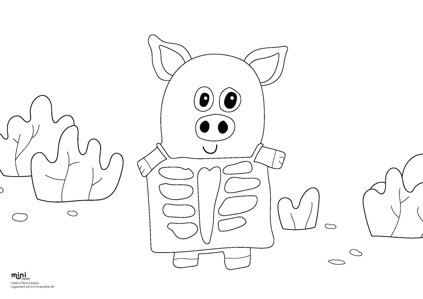 Udskriv & farvelæg- Gris med røntgen